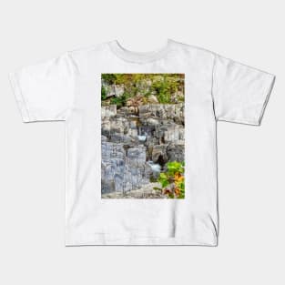 Shut-Ins State Park Study 3 Kids T-Shirt